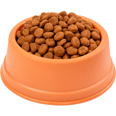 Comedouro São Pet Grande para Cães e Gatos Terracota