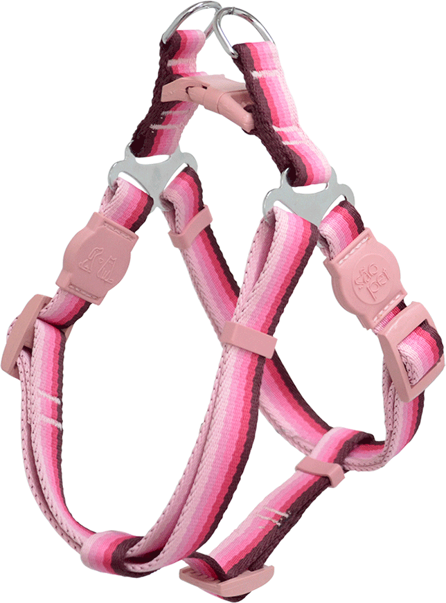 Kit Peitoral e Guia São Pet Degrade America Rosa para Cães - Tam. P