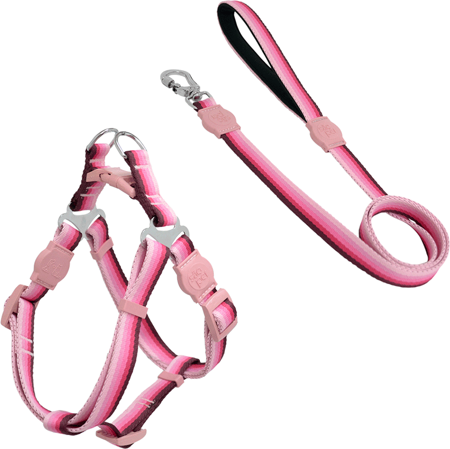 Kit Peitoral e Guia São Pet Degrade America Rosa para Cães - Tam. P