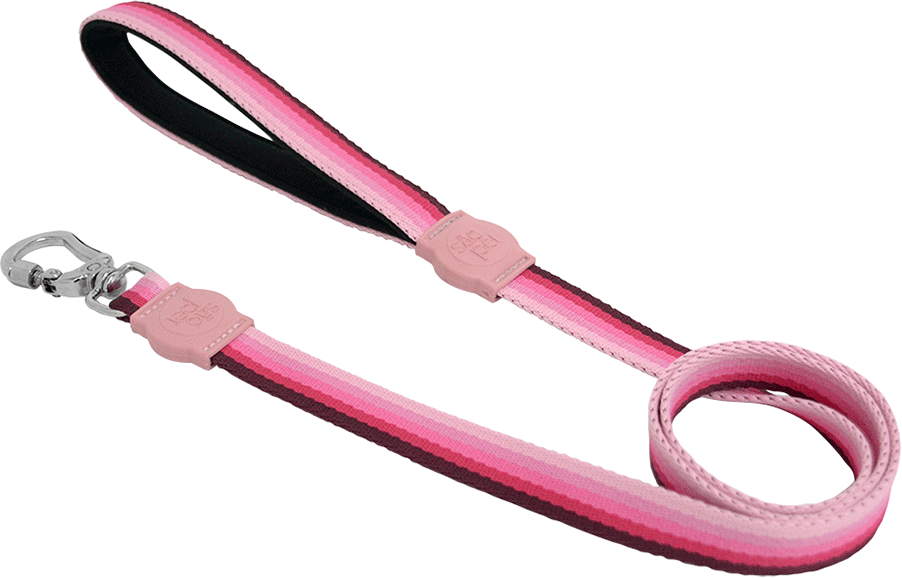 Kit Peitoral e Guia São Pet Degrade America Rosa para Cães - Tam. P
