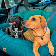 Bolsa de Transporte Pacco Puppy Verde Cangu Ecotec para Cães e Gatos - Tam. GG