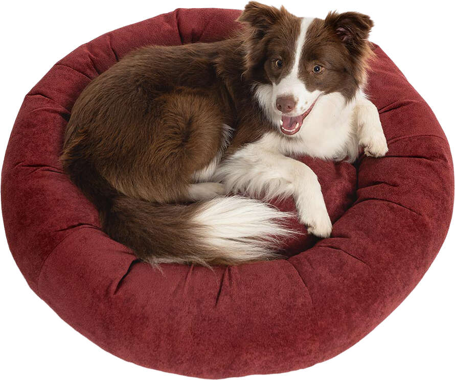 Cama Pacco Puppy Nala Redonda Boucle Canella para Cães e Gatos - Tam. G
