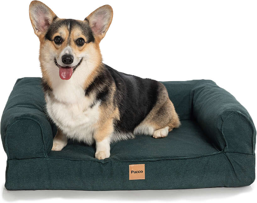 Cama Pacco Puppy Sense Ecotec Verde C-Core para Cães e Gatos - Tam. M