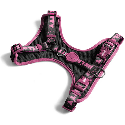 Peitoral Air Freefaro Hello Kity Black para Cães e Gatos”