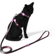 Peitoral e Guia Freefaro Hello Kity Black para Gatos