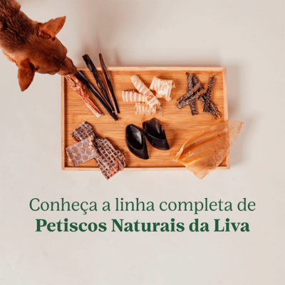 Petisco Mastigável Liva Natural Orelha Bovina para Cães