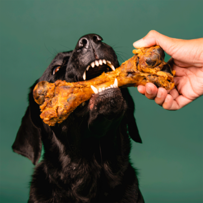 Petisco Mastigável Liva Natural Fêmur Suíno para Cães