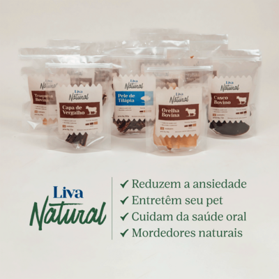 Petisco Mastigável Liva Natural Fêmur Suíno para Cães