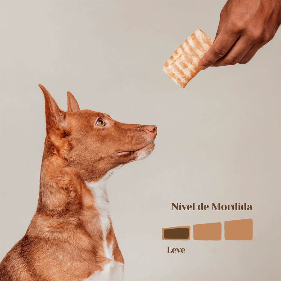 Petisco Mastigável Liva Natual Traqueia Bovina para cães - 12 Unidades