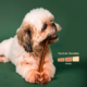 Petisco Mastigável Liva Natural Capa de Vergalho Bovino para Cães