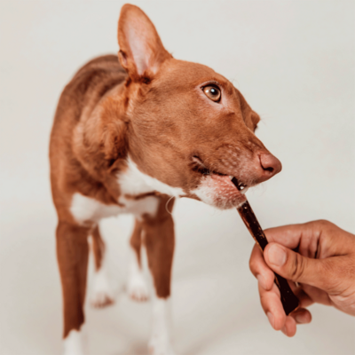 Petisco Mastigável Liva Natural Capa de Vergalho Bovino para Cães