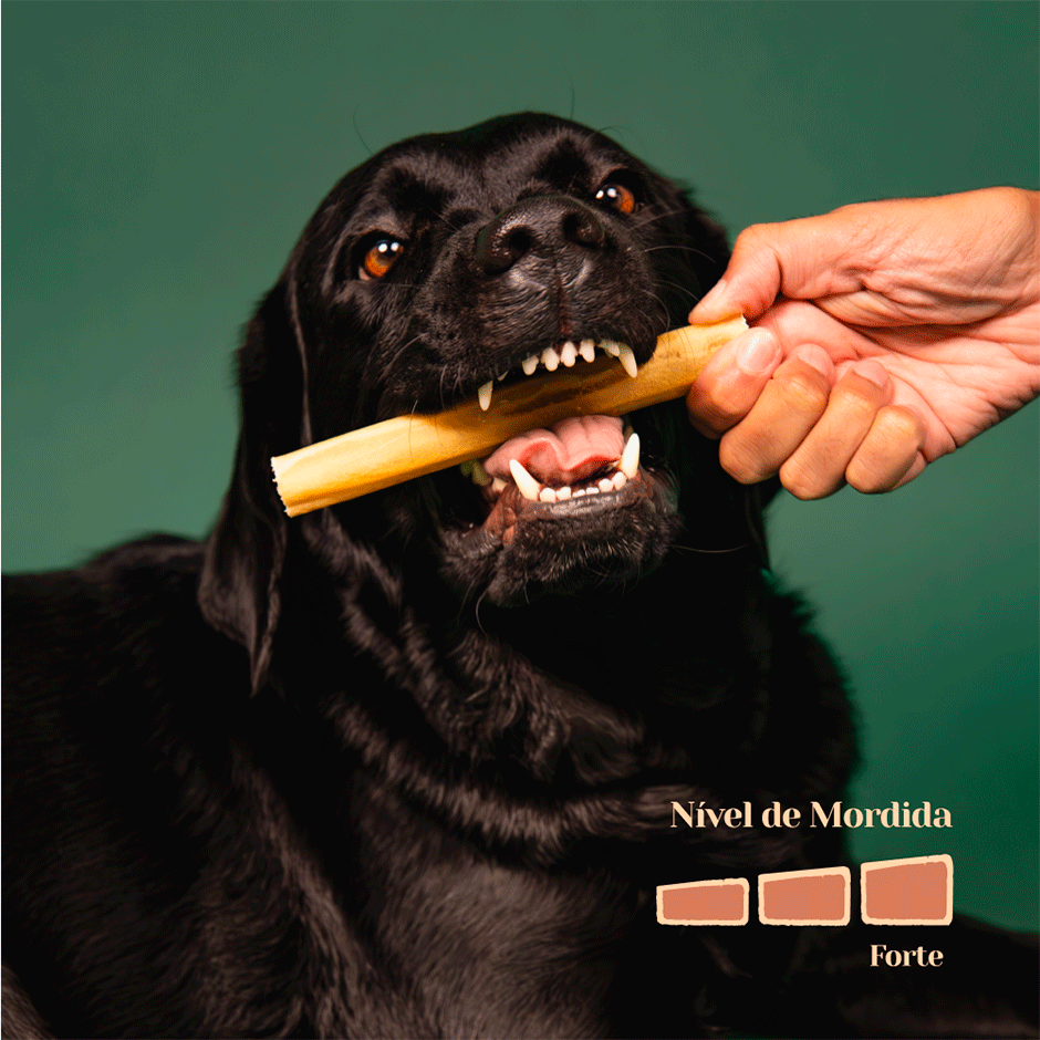 Petisco Mastigável Liva Natural Colágeno Bovino para Cães - 5 Unidades
