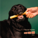 Petisco Mastigável Liva Natural Colágeno Bovino para Cães