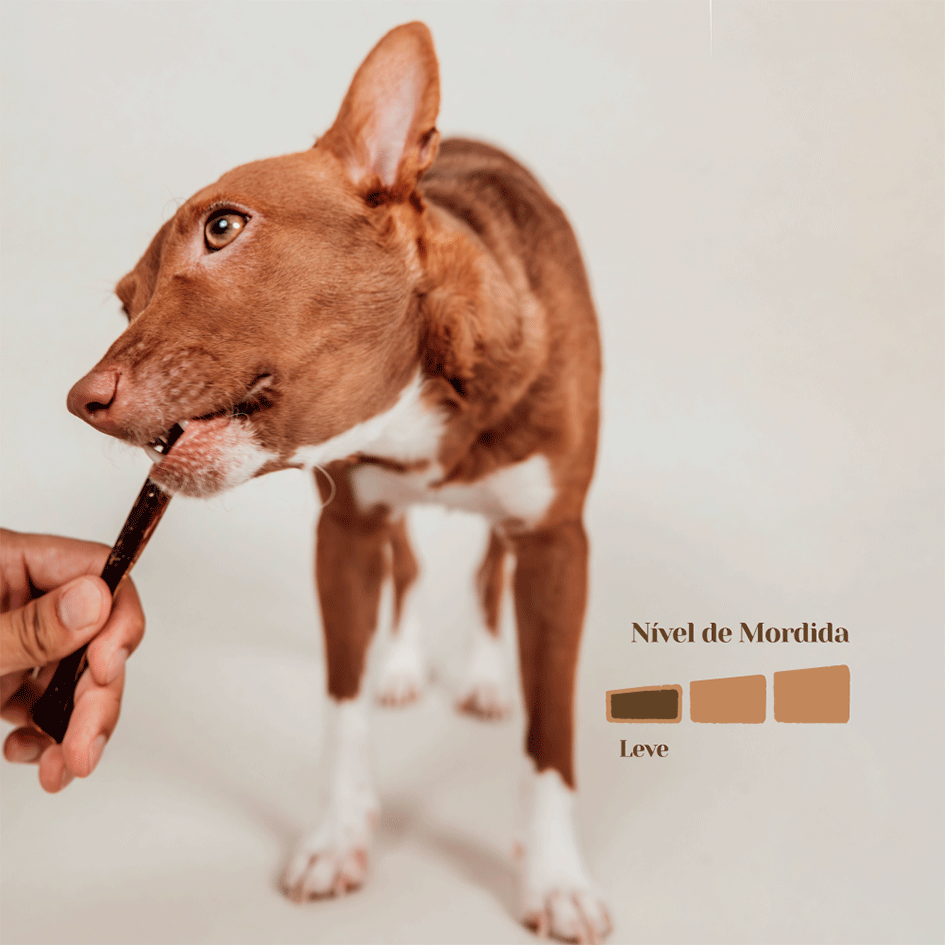 Petisco Mastigável Liva Natural Esôfago Bovino para Cães - 10 Unidades