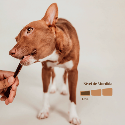 Petisco Mastigável Liva Natural Esôfago Bovino para Cães”