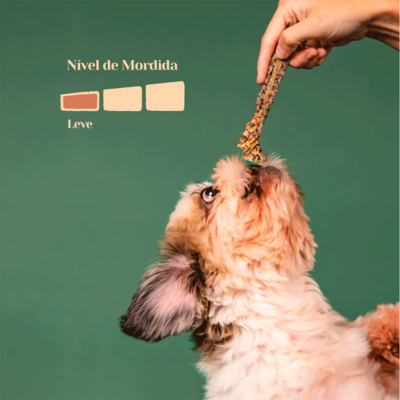 Petisco Mastigável Liva Natural Pele de Tilápia para Cães