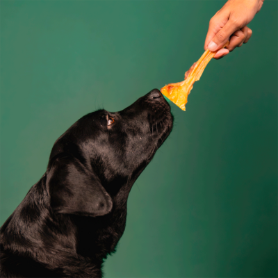 Petisco Mastigável Liva Natural Tendão Bovino para Cães