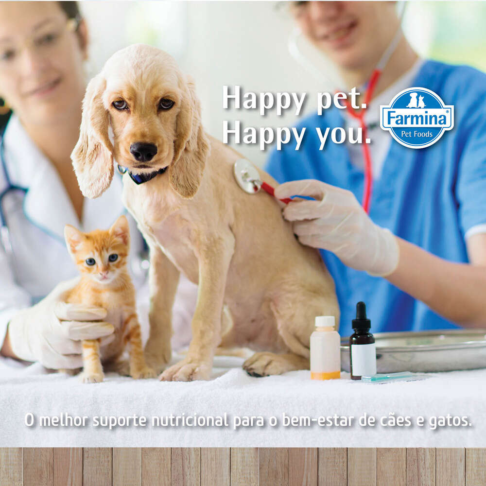 Ração Seca Farmina Vet Life Natural Hypoallergenic Pork e Potato para Cães Adultos Raças Mini e Pequena - 2Kg