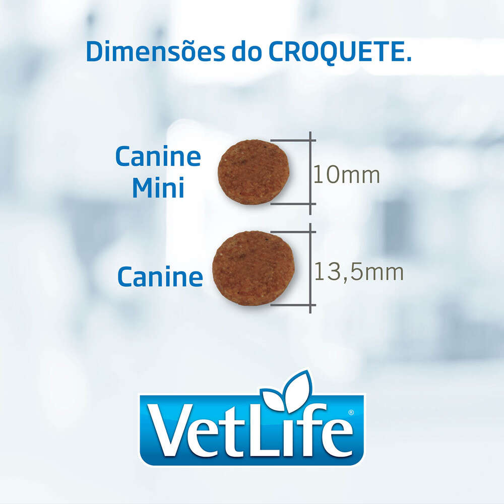 Ração Seca Farmina Vet Life Natural Hypoallergenic Pork e Potato para Cães Adultos Raças Mini e Pequena - 2Kg