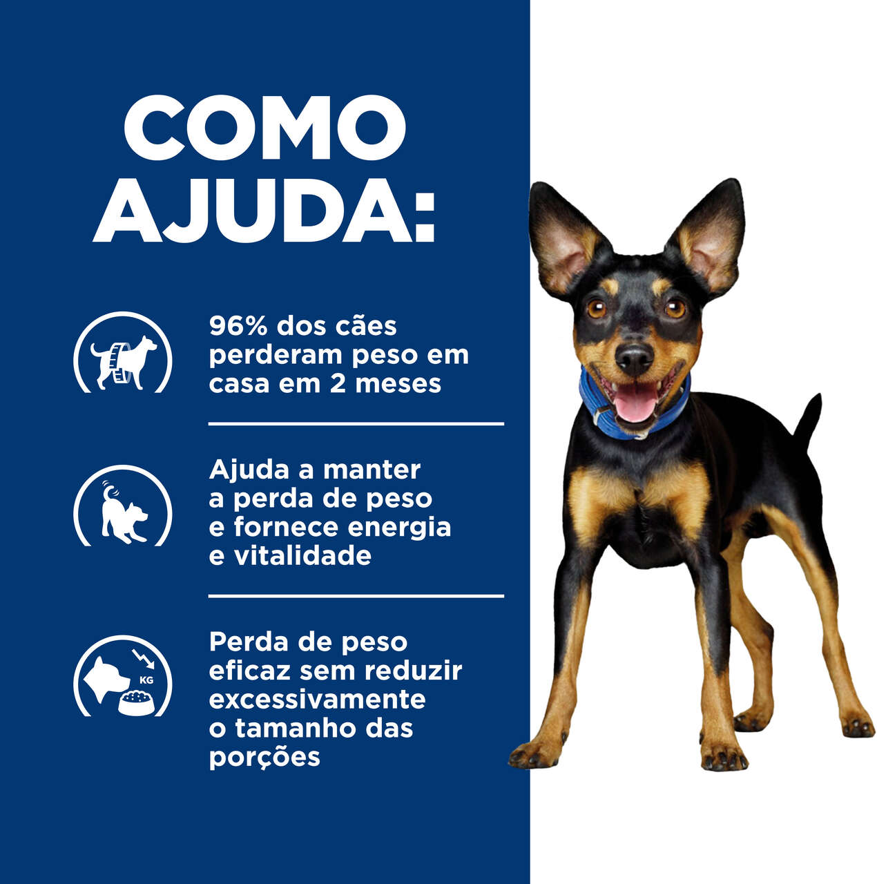 Ração Seca Hill’s Prescription Diet Metabolic Obesidade para Cães Adultos e Sênior Raças Pequenas sabor Frango - 1,5Kg