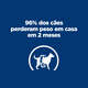 Ração Seca Hill’s Prescription Diet Metabolic Obesidade para Cães Adultos e Sênior Raças Pequenas sabor Frango