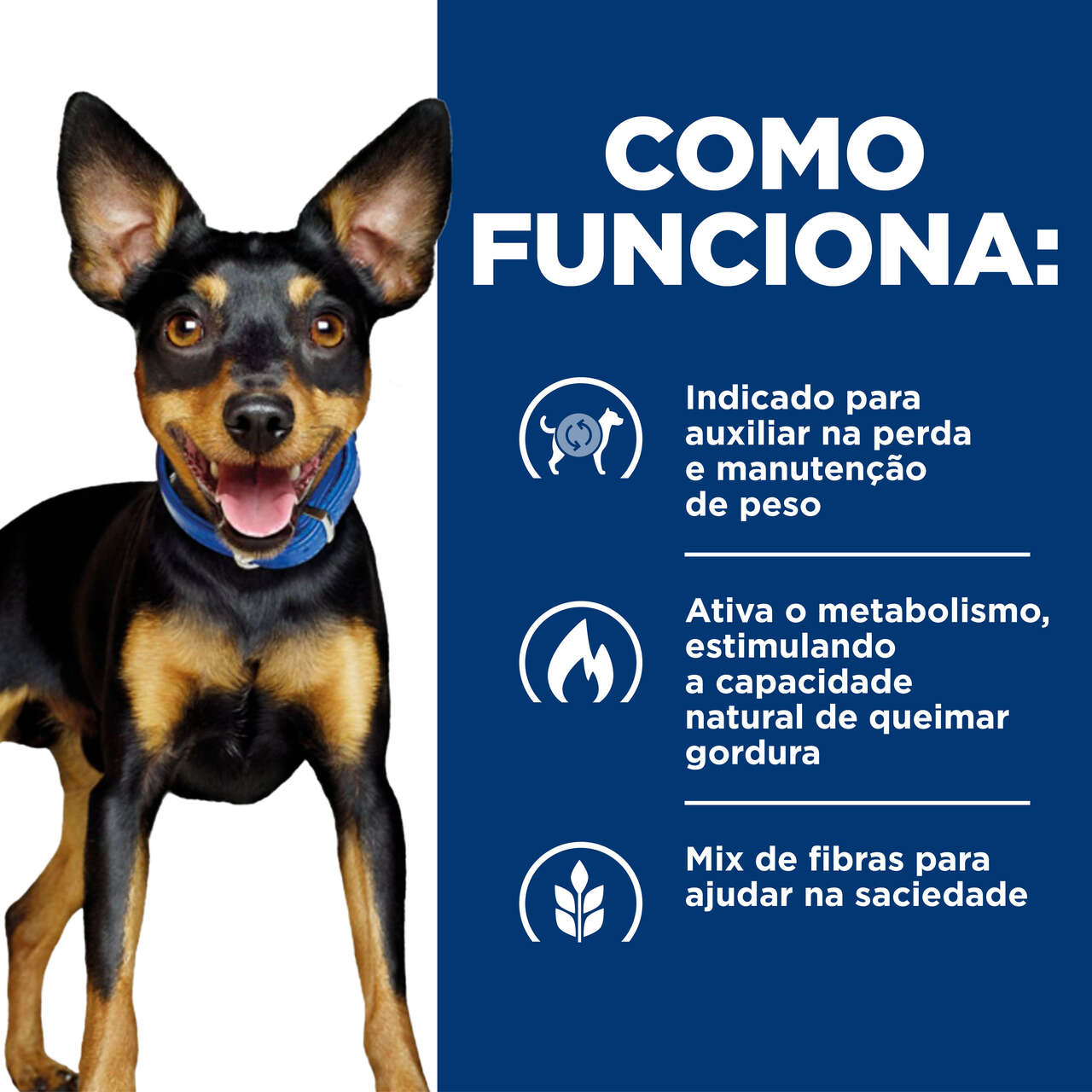 Ração Seca Hill’s Prescription Diet Metabolic Obesidade para Cães Adultos e Sênior Raças Pequenas sabor Frango - 1,5Kg