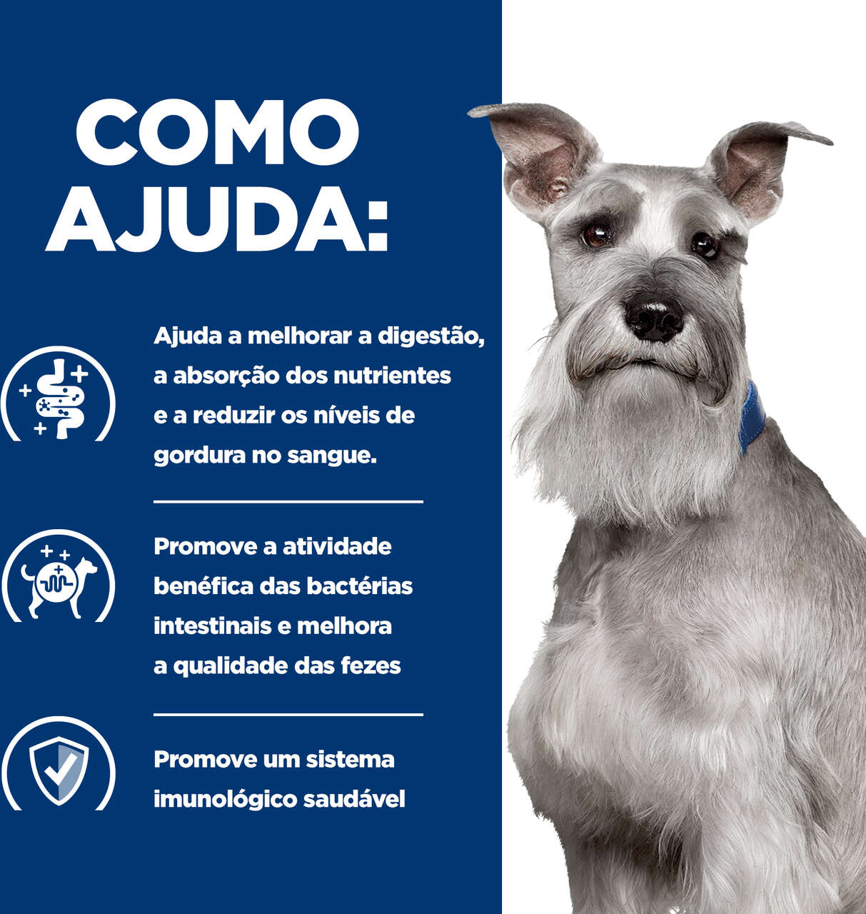 Ração Úmida Hill's Prescription Diet i/d Cuidado Gastrointestinal para Cães Adultos - 370 g