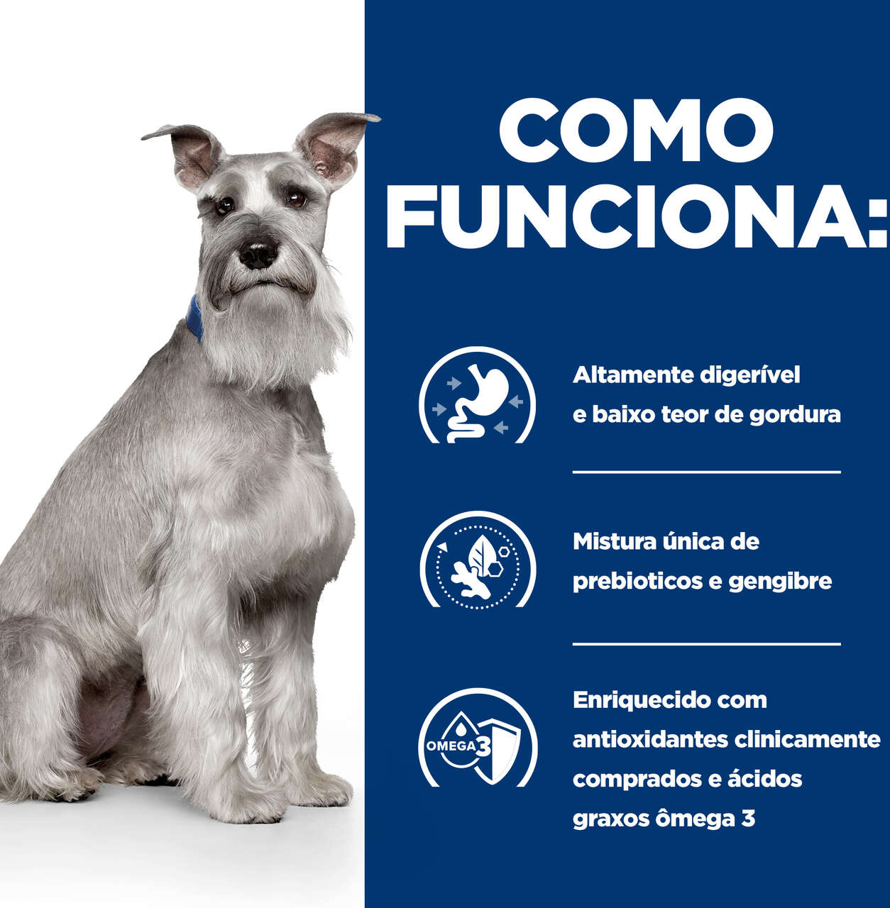 Ração Seca Hill's Prescription Diet i/d Cuidado Gastrointestinal para Cães Adultos sabor Frango - 3,85Kg