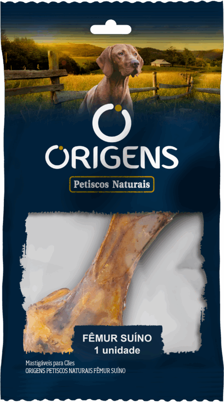 Petisco Natural Fêmur Suino Origens para Cães - 1 Unidade