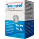 Traumeel Heel Vet