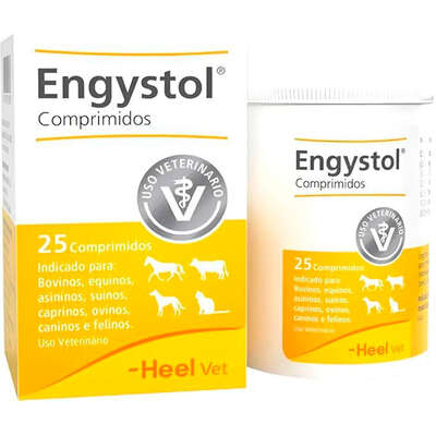 Engystol Heel Vet