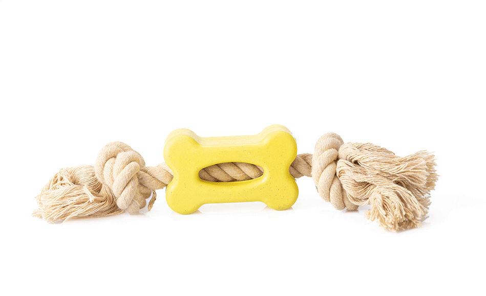 Brinquedo Mordedor Future Pet Osso de Borracha Natural com Corda para Cães - Tam. P
