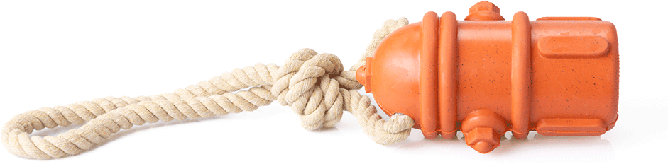 Brinquedo Mordedor Future Pet Hidrante de Borracha Natural com Corda para Cães - Tam. G