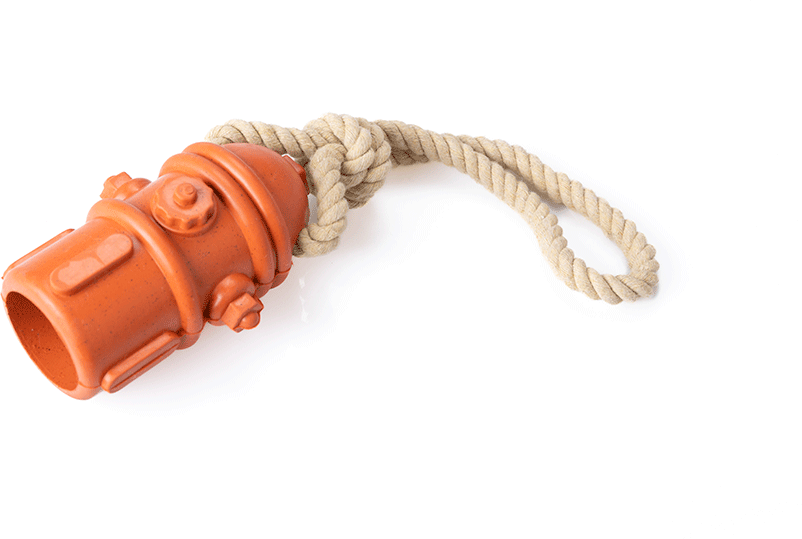 Brinquedo Mordedor Future Pet Hidrante de Borracha Natural com Corda para Cães - Tam. G