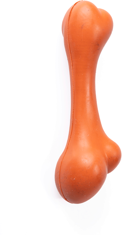 Brinquedo Mordedor Future Pet Osso Maciço de Borracha Natural para Cães - Tam. G