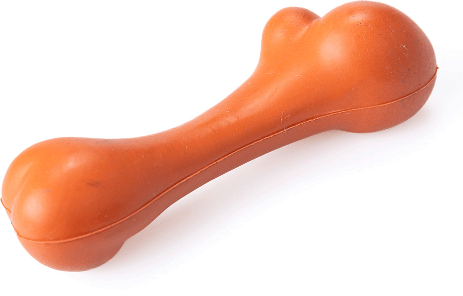 Brinquedo Mordedor Future Pet Osso Maciço de Borracha Natural para Cães - Tam. G