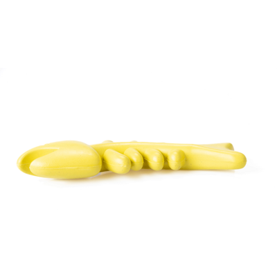 Brinquedo Mordedor Ecoa Espinha de Peixe de Fibra de Coco para Cães