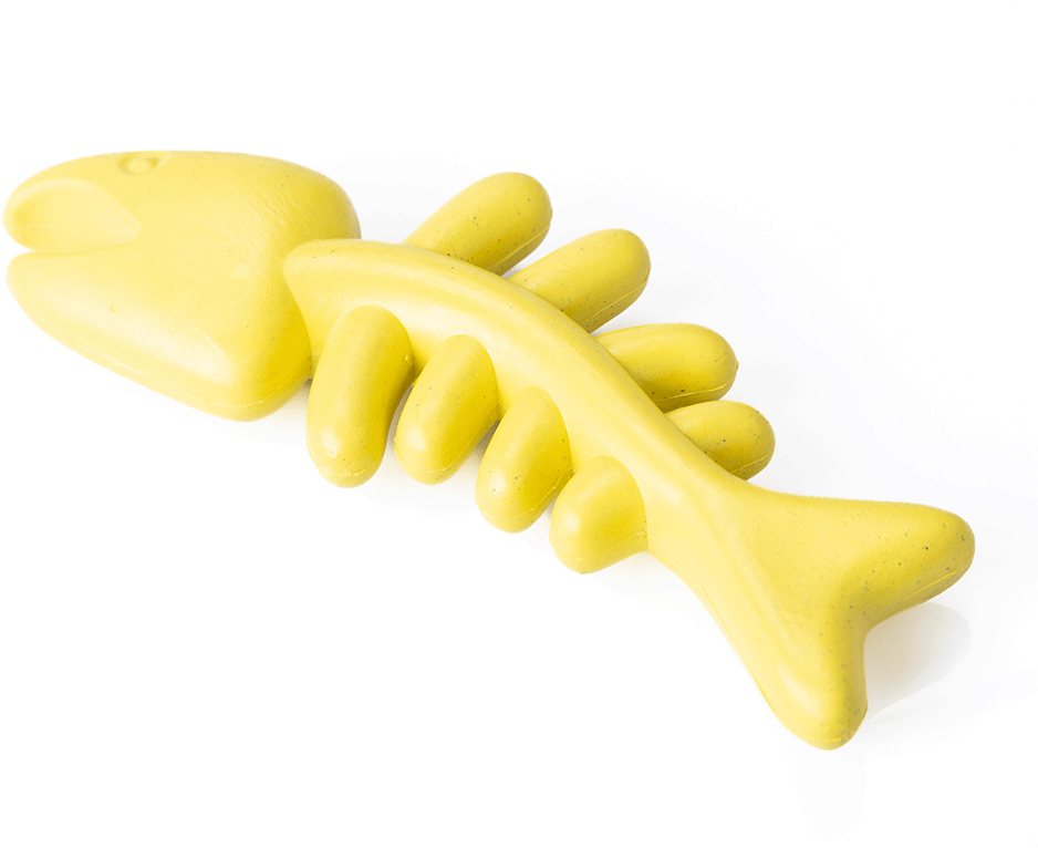 Brinquedo Mordedor Future Pet Espinha de Peixe de Borracha Natural para Cães - Tam. Único