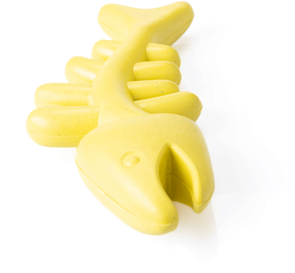 Brinquedo Mordedor Future Pet Espinha de Peixe de Borracha Natural para Cães - Tam. Único