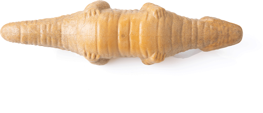 Brinquedo Mordedor Ecoa Jurassic Fibra de Bambu para Cães - Tam. Único