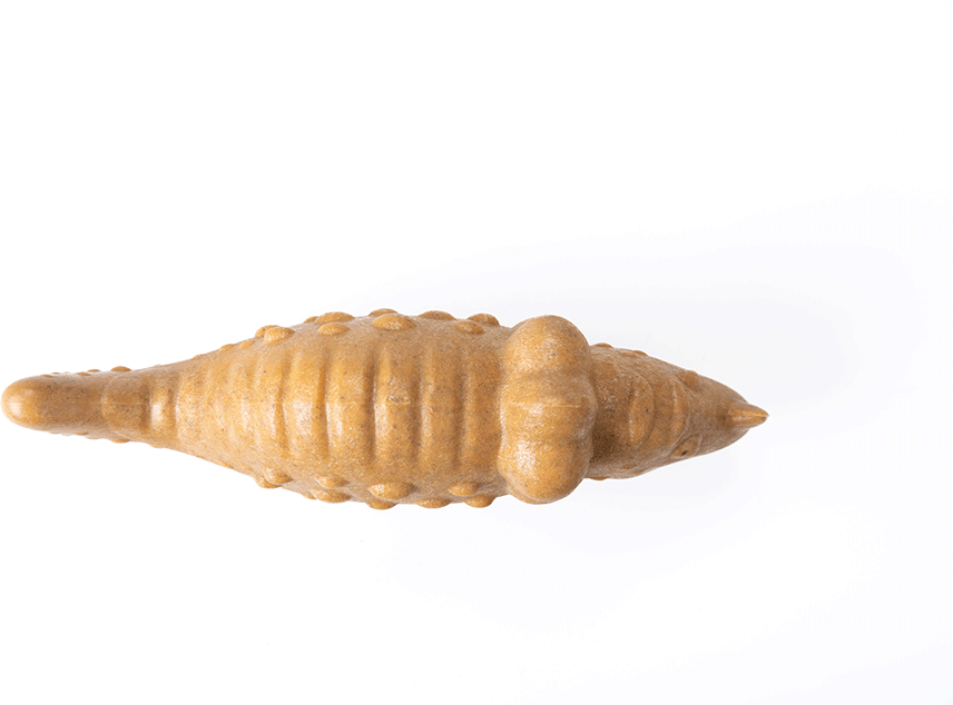 Brinquedo Mordedor Ecoa Triceratops Fibra de Bambu para Cães - Tam. Único