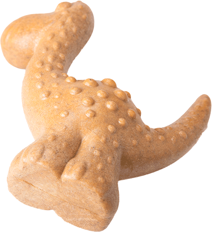 Brinquedo Mordedor Ecoa Dino Fibra de Bambu para Cães - Tam. Único