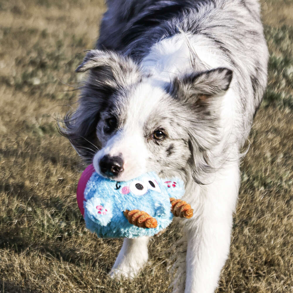 Brinquedo Pelúcia Qmonster Little Monster João Bobo Azul para Cães - Tam. Único