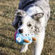 Brinquedo Pelúcia Qmonster Little Monster João Bobo Azul para Cães