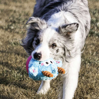 Brinquedo Pelúcia Qmonster Little Monster João Bobo Azul para Cães