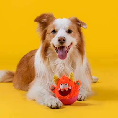 Brinquedo Pelúcia Qmonster Little Monster João Bobo Laranja para Cães