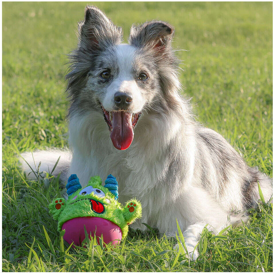 Brinquedo Pelúcia Qmonster Little Monster João Bobo Verde para Cães - Tam. Único