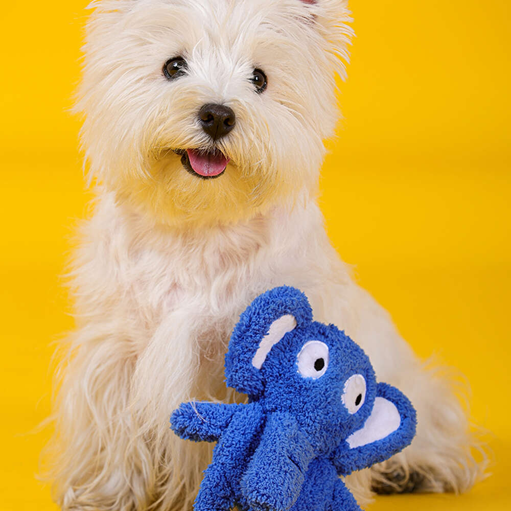 Brinquedo Pelúcia Qmonster Festa Peluda Elefante Azul para Cães - Tam. Único