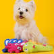Brinquedo Pelúcia Qmonster Festa Peluda Girafa Amarela para Cães