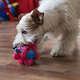 Brinquedo Pelúcia 2 em 1 Qmonster Baby Monster Gen 1 Rosa para Cães